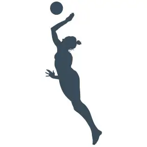 voleibol 1